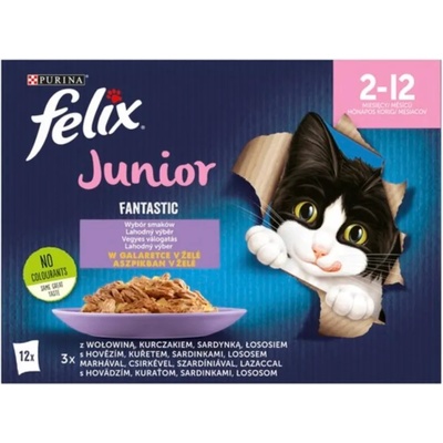 FELIX Fantastic Junior Mixed Selection in aspic 12x85 g