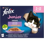 FELIX Fantastic Junior Mixed Selection in aspic 12x85 g