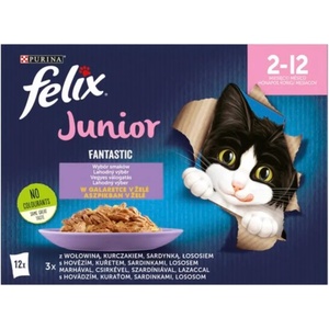 FELIX Fantastic Junior Mixed Selection in aspic 12x85 g