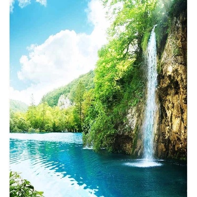 Dimex MS-3-0085 vliesová fototapeta na zeď Relax v lese rozměry 225 x 250 cm