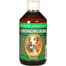 Chondroxan pes 500 ml