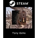 Tiny Echo