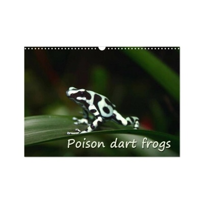 Poison dart frogs / UK-Version / Birthday Wall DIN A3 landscape, CALVENDO 12 Month Wall 2026