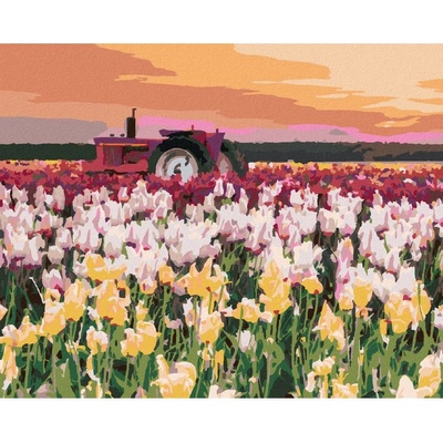 Zuty Malování podle čísel TULIPÁNY NA POLI TED DAVIS