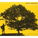 JOHNSON JACK: IN BETWEEN DREAMS CD