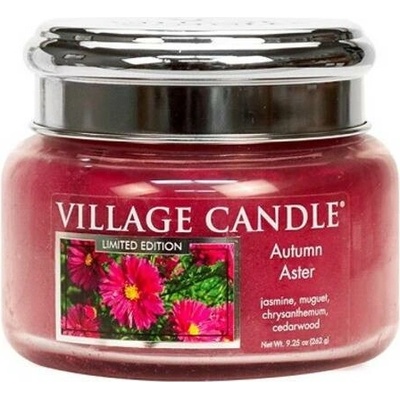 Village Candle Autumn Aster 262 g