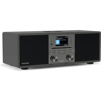 Technisat DIGITRADIO 650