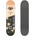 Globe G1