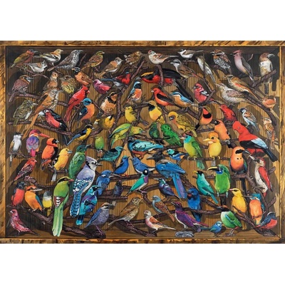 Ravensburger Duha ptáků 1000 dílků
