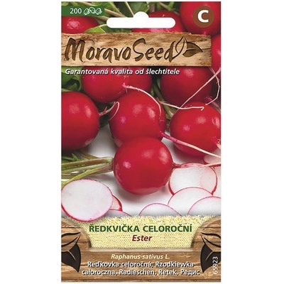 Reďkovka celoročná ESTER červená