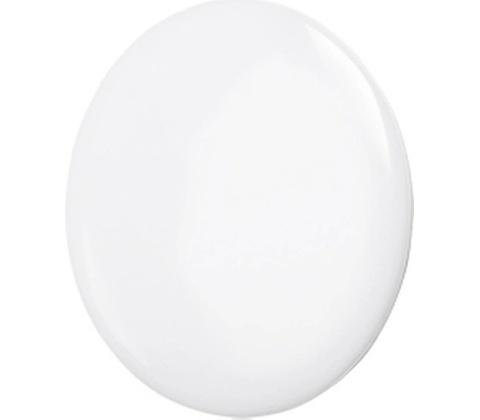 mlight 81-2021