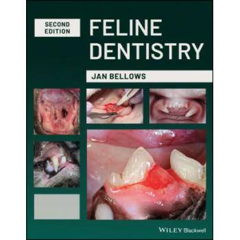 Image 1 of Feline Dentistry