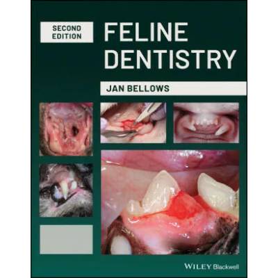 Feline Dentistry