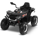 Toyz Quad Gigant