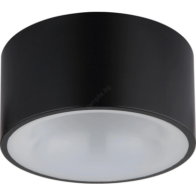 GLOBO RAYMOND 56964S