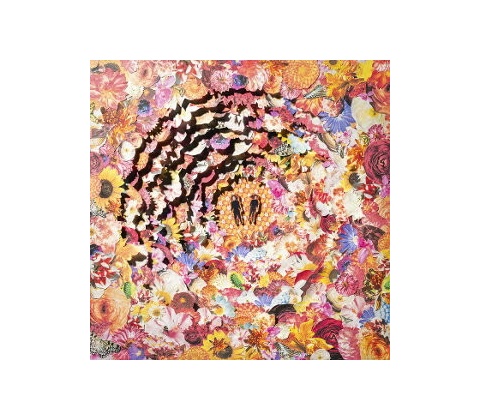 Bimbo - BIMBONACCI SEQUENCE LP
