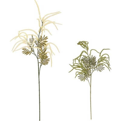 KONÁR AMARANTUS MIX/2F 80CM