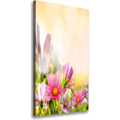 Vertikálny foto obraz canvas Poľné kvety 50x100 cm