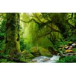 DIMEX ART Флизелинов фототапет непалска джунгла 375 x 250 см