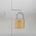 vidaXL U Lock с ключове 6 pcs Месинг Желязо (42021907)