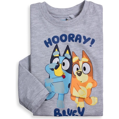 BLUEY HOORAY šedé
