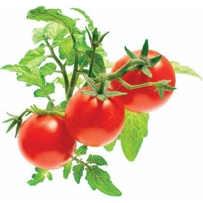 Click and Grow mini rajčata kapsle se semínky a substrátem 3 ks