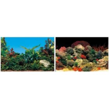 Image 1 of ФОН ЗА АКВАРИУМ 60Х40 ДВУЛИЦЕВ (69041000)