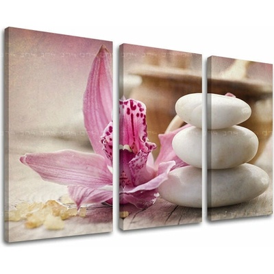 Obraz na stenu FENG SHUI - 90x60 cm