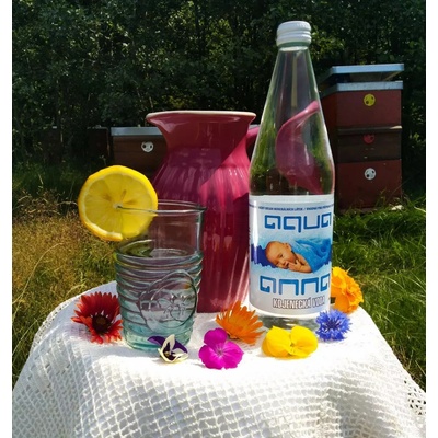 Aqua Anna Ovčelená voda ve skle 0,75 l