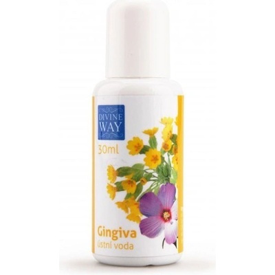 Divine Way Gingiva bylinná 50 ml