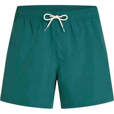 O'Neill Бански гащета O´neill Beach 15´´ swimming shorts - Green (Botanical Heat)