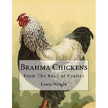 Brahma Chickens: From The Book of Poultry