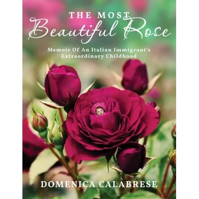 Most Beautiful Rose | Domenica Calabrese