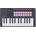 Novation Flkey 2 Mini 25