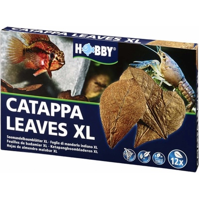 Hobby Catappa Leaves XL 12 ks