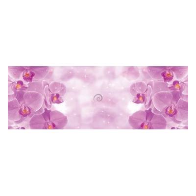 Preinterier Fototapeta - FT5619 - vlies - 832cm x 254cm