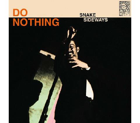 DO NOTHING - SNAKE SIDEWAYS LP