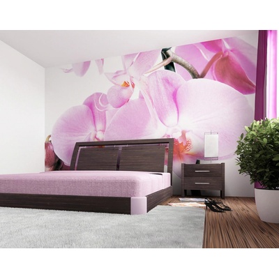 AG Design FTNS-2459 Vliesová fototapeta Orchidej rozměry 360 x 270 cm