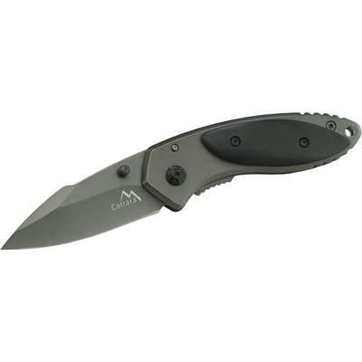 Cattara FISH 13234