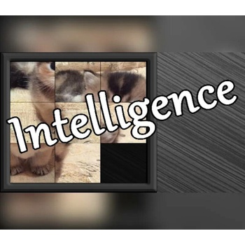 Intelligence