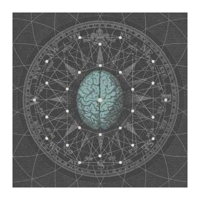 Bipolar Architecture - Metaphysisize Ltd LP