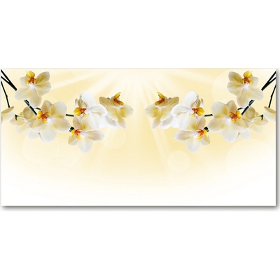 Foto obraz sklo tvrzené orchidea 100x50 cm