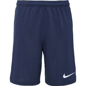 Nike Dri-fit park 3 jr tqo m