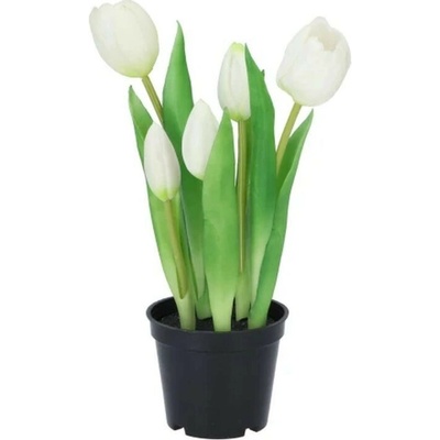 5ks biely realistický tulipán Tulips v kvetináčiku - 26 cm - daan kromhout
