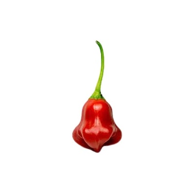 Need For Seed Chilli Bishop's Crown semena 10 ks