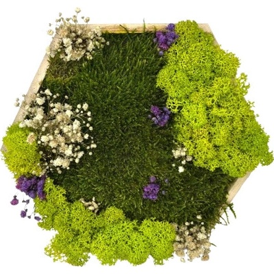 Machový hexagon Ela Veľkosť rámu: 21cm - v najširšom bode