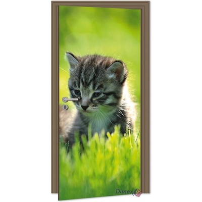 Dimex D-028 samolepící fototapeta na dveře KITTEN rozměry 95 x 210 cm