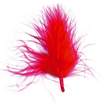 Image 1 of Santex Декоративни пера ЦВЯТ: Червен