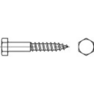 TOOLCRAFT 1061305 šesťhranná skrutka 10 mm 160 mm vonkajší šesťhran DIN 571 nerezová ocel A4 50 ks
