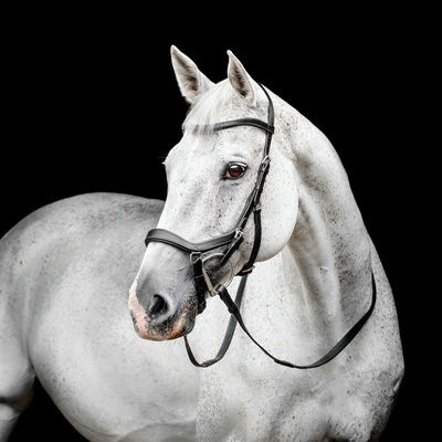 Horseware Micklem Deluxe Competition černá Super
